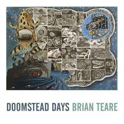 Zilele Doomstead - Doomstead Days