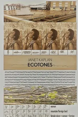 Ecotone - Ecotones
