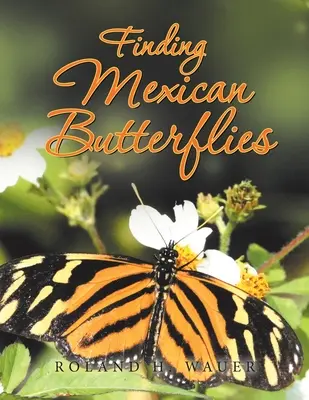 În căutarea fluturilor mexicani - Finding Mexican Butterflies