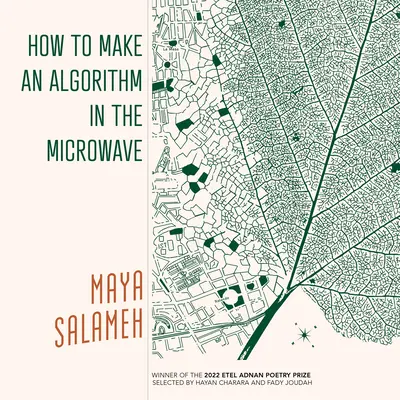 Cum să faci un algoritm în cuptorul cu microunde - How to Make an Algorithm in the Microwave