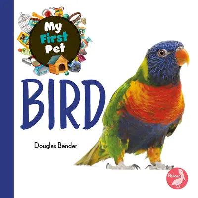 Pasăre - Bird