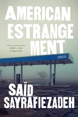 American Estrangement: Povestiri - American Estrangement: Stories