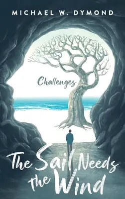 The Sail Needs the Wind: Provocări - The Sail Needs the Wind: Challenges