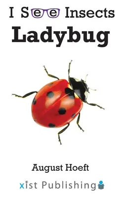 Buburuză - Ladybug