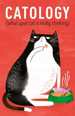 Catologie: Ce gândește cu adevărat pisica ta - Catology: What Your Cat Is Really Thinking