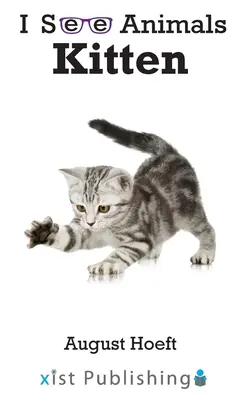 Pisicuță - Kitten