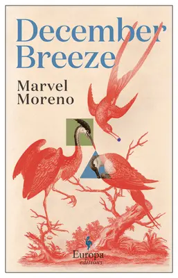 Briza de decembrie - December Breeze