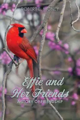 Effie și prietenii ei: O poveste de prietenie - Effie and Her Friends: A Story of Friendship