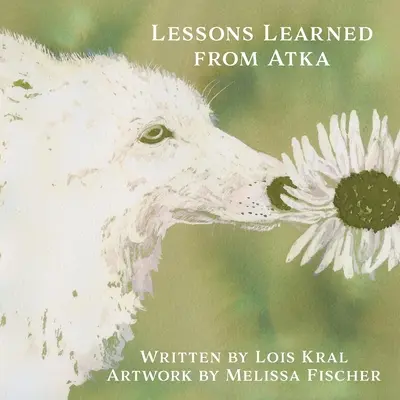 Lecții învățate de la Atka - Lessons Learned from Atka