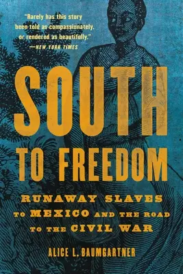 De la sud la libertate: Runaway Slaves to Mexico and the Road to the Civil War (Sclavii fugiți în Mexic și drumul spre războiul civil) - South to Freedom: Runaway Slaves to Mexico and the Road to the Civil War