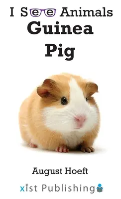 Porcușor de Guineea - Guinea Pig