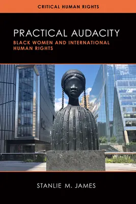 Practical Audacity: Femeile de culoare și drepturile internaționale ale omului - Practical Audacity: Black Women and International Human Rights