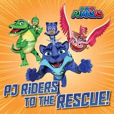 Pj Riders la salvare! - Pj Riders to the Rescue!