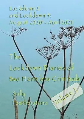 Lockdown Diary 2