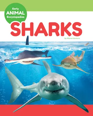 Rechini - Sharks