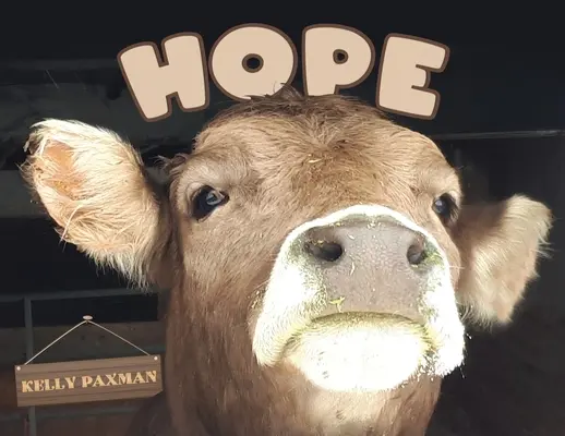 Speranța - Hope