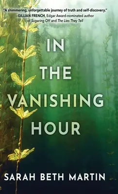 În ora de dispariție - In the Vanishing Hour