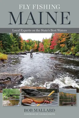Fly Fishing Maine: Experți locali pe cele mai bune ape din stat - Fly Fishing Maine: Local Experts on the State's Best Waters