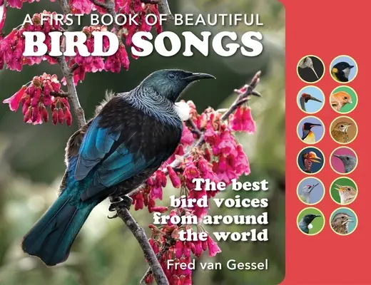 O carte de cântece frumoase de păsări: Cele mai bune voci de păsări din întreaga lume - A Book of Beautiful Bird Songs: The Best Bird Voices from Around the World
