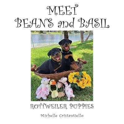 Faceți cunoștință cu fasolea și busuiocul - Meet Beans and Basil