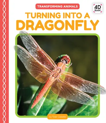 Transformarea în libelulă - Turning Into a Dragonfly