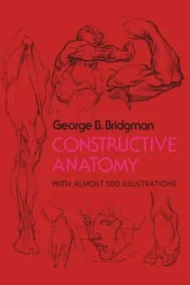 Anatomie constructivă - Constructive Anatomy