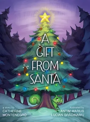 Un cadou de la Moș Crăciun - A Gift from Santa