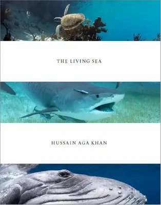 Hussain Aga Khan: Marea vie - Hussain Aga Khan: The Living Sea