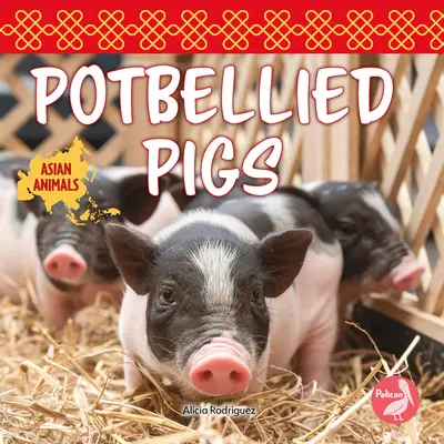 Porci burtoși - Potbellied Pigs