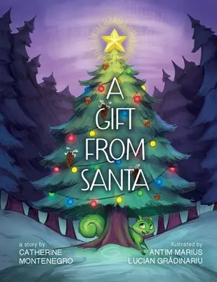 Un cadou de la Moș Crăciun - A Gift from Santa