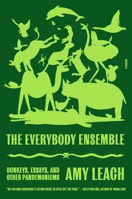 The Everybody Ensemble: Măgari, eseuri și alte pandemoniile - The Everybody Ensemble: Donkeys, Essays, and Other Pandemoniums