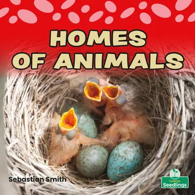 Case de animale - Homes of Animals
