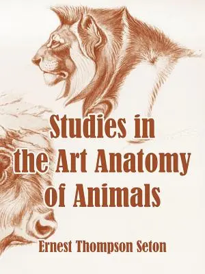 Studii de anatomie artistică a animalelor (Studies in the Art Anatomy of Animals) - Studies in the Art Anatomy of Animals