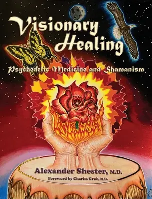 VISIONARY HEALING Medicina psihedelică și șamanismul - VISIONARY HEALING Psychedelic Medicine and Shamanism