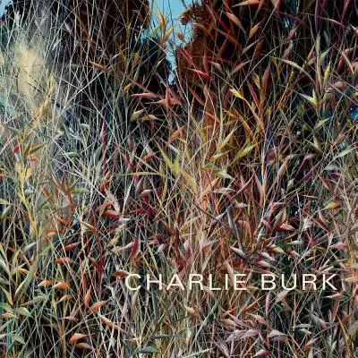 Charlie Burk: Călătorie în abstracție - Charlie Burk: Journey in Abstraction
