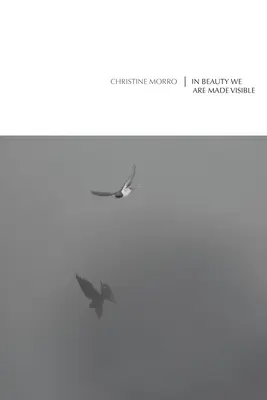 În frumusețe suntem făcuți vizibili - In Beauty We Are Made Visible