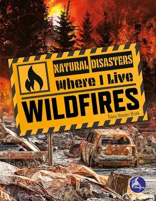 Incendii de pădure - Wildfires
