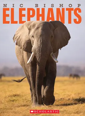 Nic Bishop: Elefanți - Nic Bishop Elephants