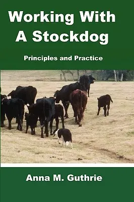 Lucrul cu un câine ciobănesc - Working with a Stockdog