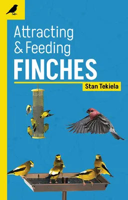 Atragerea și hrănirea cintezelor - Attracting & Feeding Finches