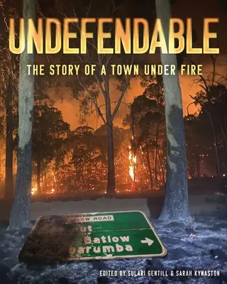 Undefendable: Povestea unui oraș sub foc - Undefendable: The Story of a Town Under Fire