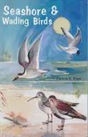 Păsări de malul mării și păsări umblătoare din Florida - Seashore and Wading Birds of Florida