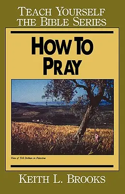Cum să te rogi- Învață singur Biblia - How to Pray- Teach Yourself the Bible Series