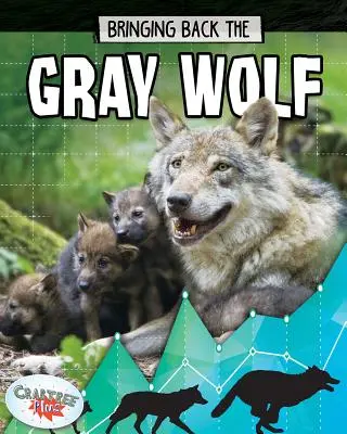 Aducerea înapoi a lupului cenușiu - Bringing Back the Gray Wolf