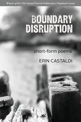 Perturbarea granițelor - Boundary Disruption