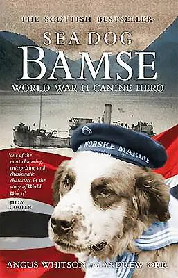 Câinele de mare Bamse: Eroul canin al celui de-al Doilea Război Mondial - Sea Dog Bamse: World War II Canine Hero
