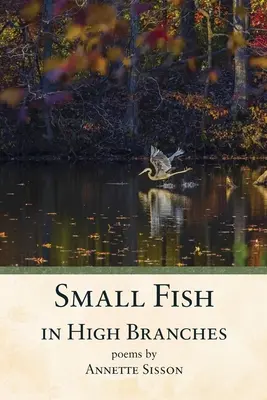 Pești mici în ramuri înalte - Small Fish in High Branches