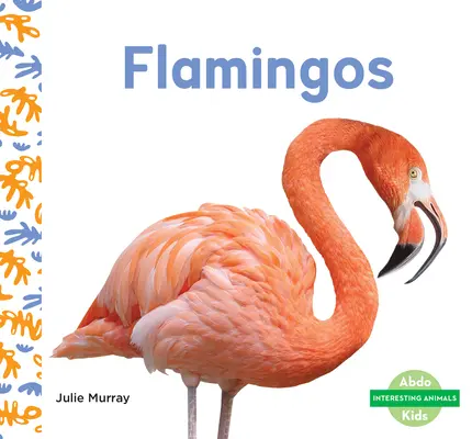 Flamingo - Flamingos