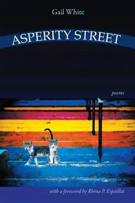 Strada Asperității - Asperity Street