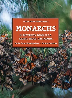 MONARHII În orașul fluturelor U.S.A., Pacific Grove, California - MONARCHS In Butterfly Town U.S.A., Pacific Grove, California